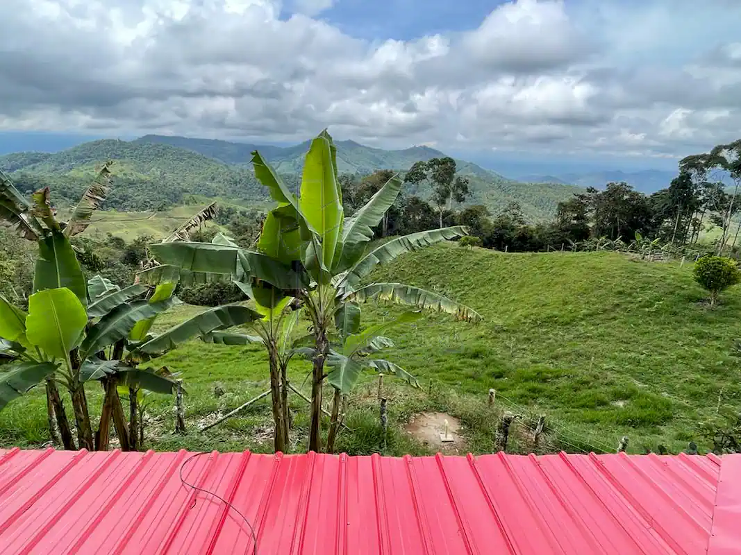 Finca Alto Gaviota